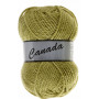 Lammy Canada Garn Unicolor 271 Dunkel-Limettengrün