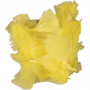 Daunen, gelb, Größe 7-8 cm, 500 g/ 1 Pk.