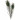 Pfauenfedern, L: 25-30cm, 10 Stk