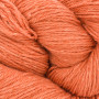 BC Yarn Bio-Balance-Garn 17 Orange