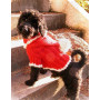 Santa Dog by DROPS Design - Strickmuster mit Kit Hundepullover für Weihnachten Größen XS - M