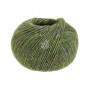 Lana Grossa Ecopuno Tweed Garn 305 Olivgrün