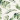 Baumwolle Jersey Druck Stoff 150 cm 002 Blätter - 50cm