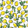 Baumwolle Jersey Druck Stoff 150 cm 050 Zitronen - 50cm